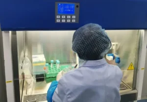 pharmaceutical packaging engineering